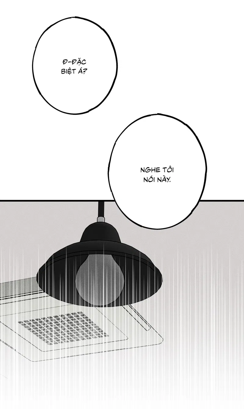 Đừng Ném Đá Vào Cây Cầu Đá Chapter 4 - Trang 2