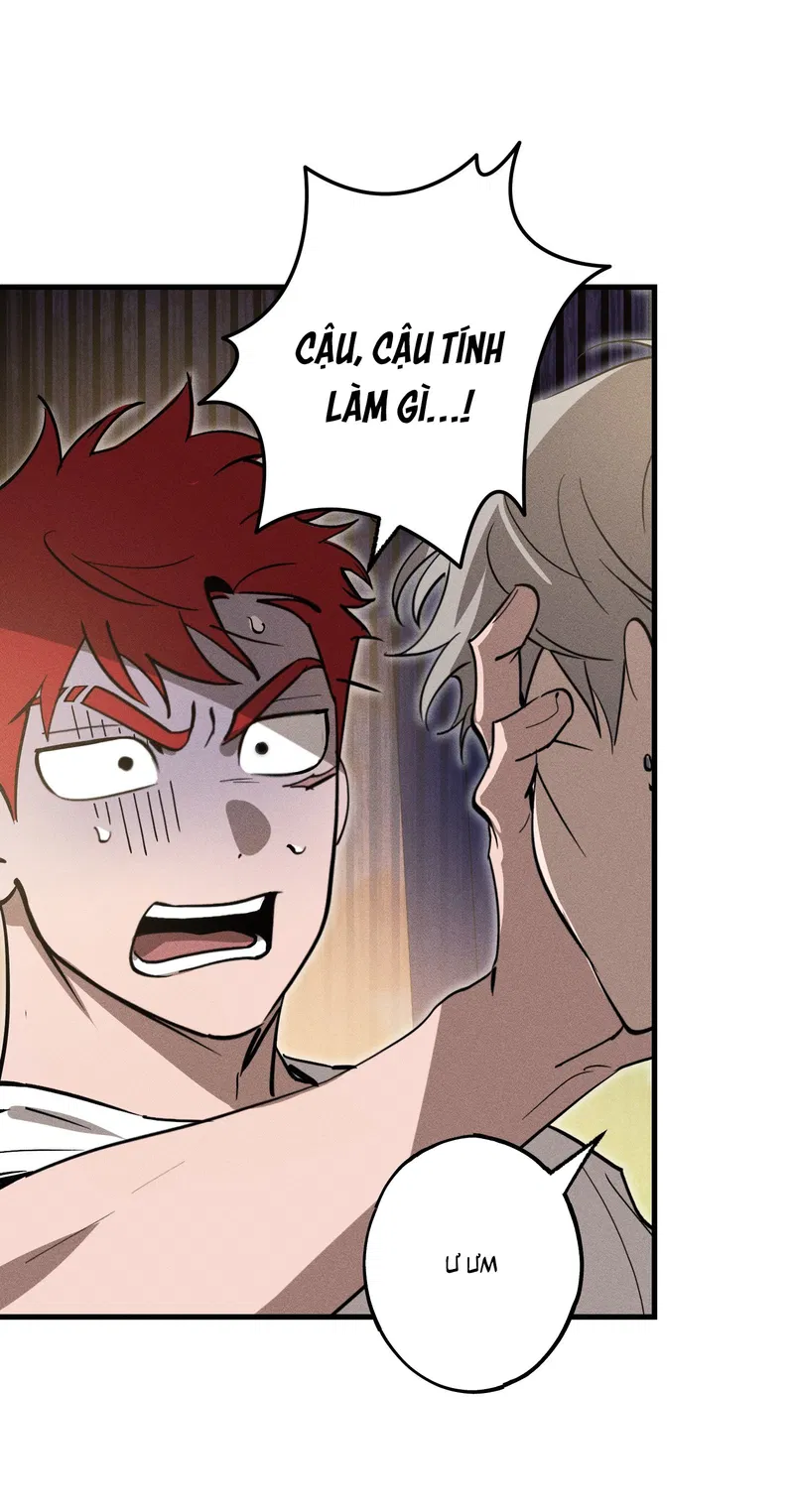 Đừng Ném Đá Vào Cây Cầu Đá Chapter 5 - Trang 2