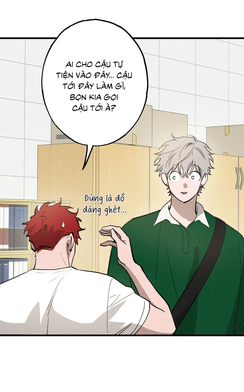 Đừng Ném Đá Vào Cây Cầu Đá Chapter 5 - Trang 2