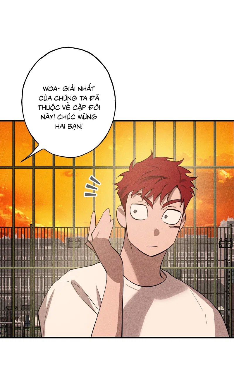 Đừng Ném Đá Vào Cây Cầu Đá Chapter 5 - Trang 2