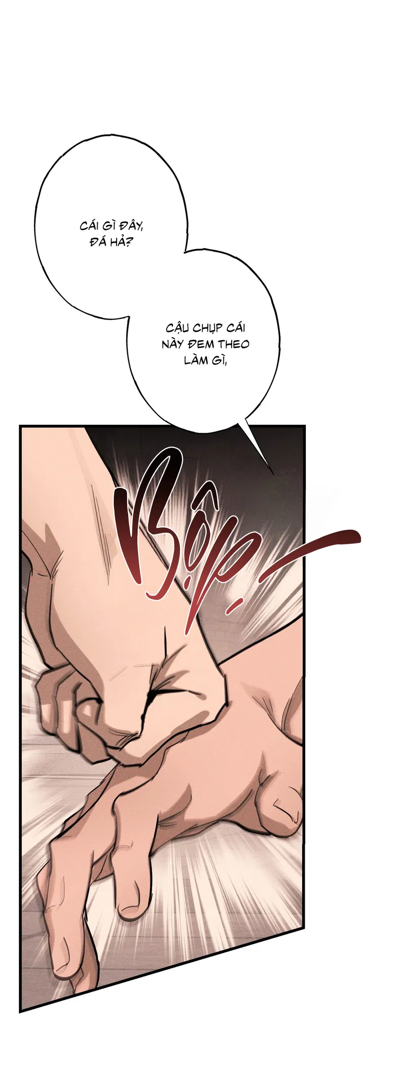 Đừng Ném Đá Vào Cây Cầu Đá Chapter 5 - Trang 2