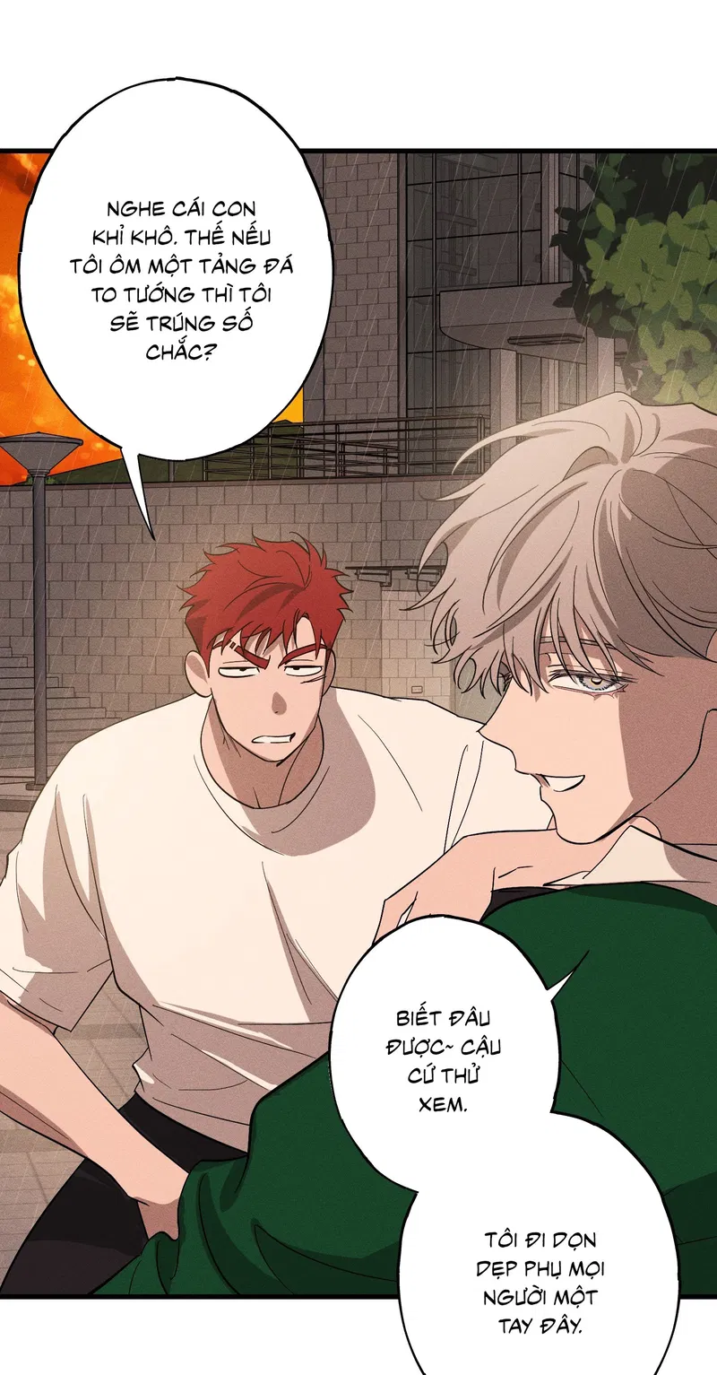 Đừng Ném Đá Vào Cây Cầu Đá Chapter 5 - Trang 2