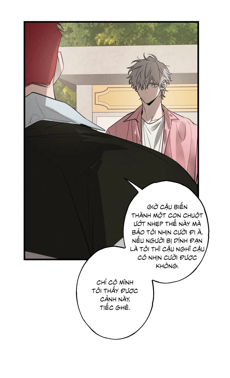 Đừng Ném Đá Vào Cây Cầu Đá Chapter 6 - Ngang raw - Trang 2