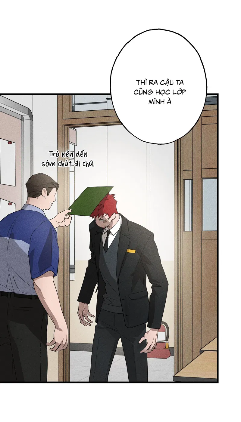 Đừng Ném Đá Vào Cây Cầu Đá Chapter 9 - Next 
