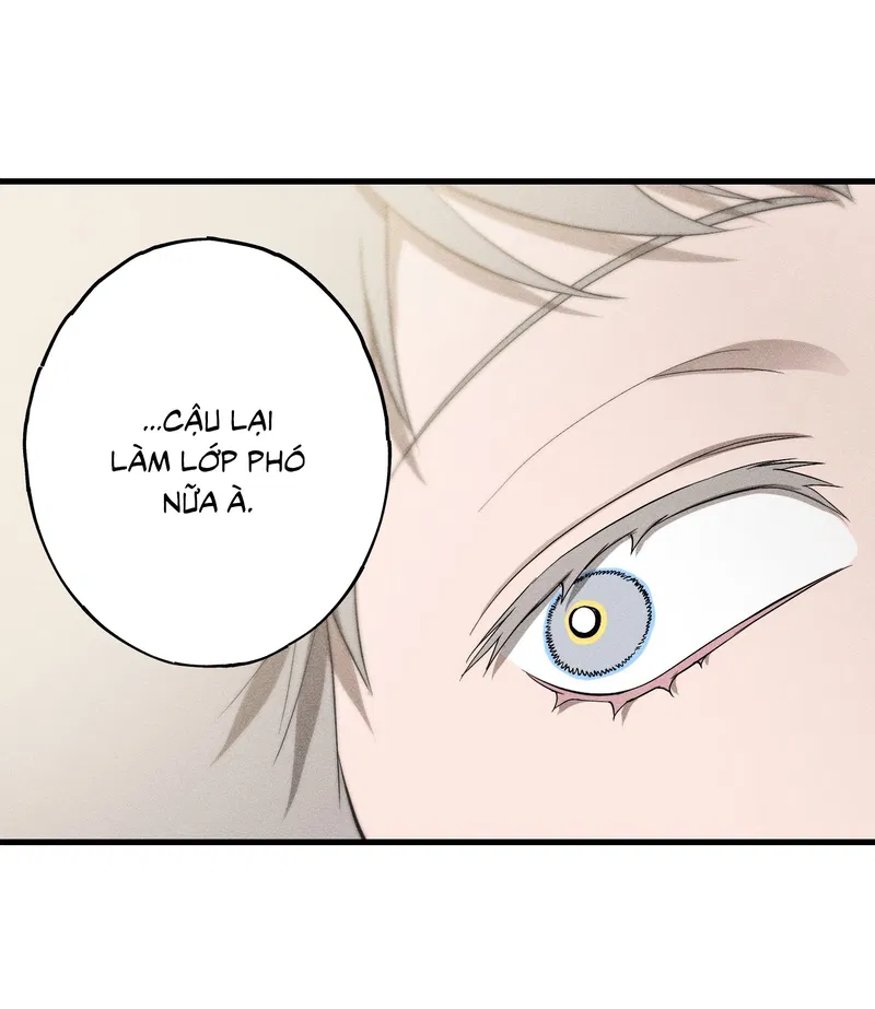 Đừng Ném Đá Vào Cây Cầu Đá Chapter 9 - Next 