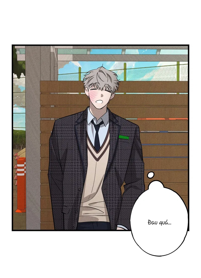 Đừng Ném Đá Vào Cây Cầu Đá Chapter 9 - Next 