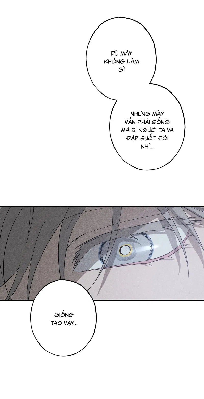Đừng Ném Đá Vào Cây Cầu Đá Chapter 9 - Next 