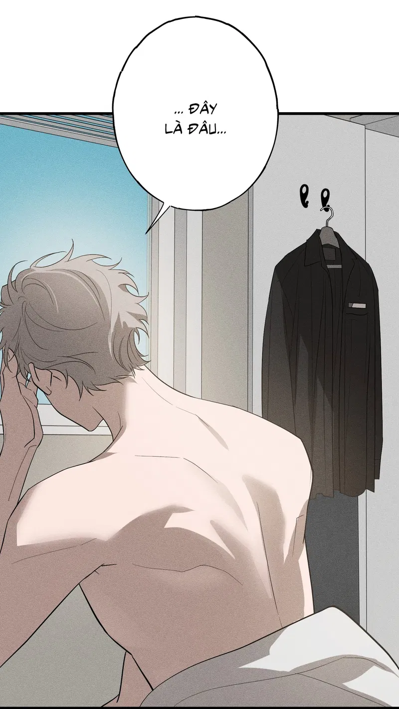 Đừng Ném Đá Vào Cây Cầu Đá Chapter 9 - Next 