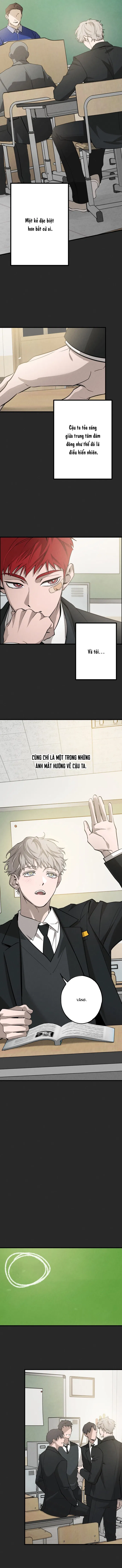 Đừng Ném Đá Dò Đường Chapter 2 - Next Chapter 3