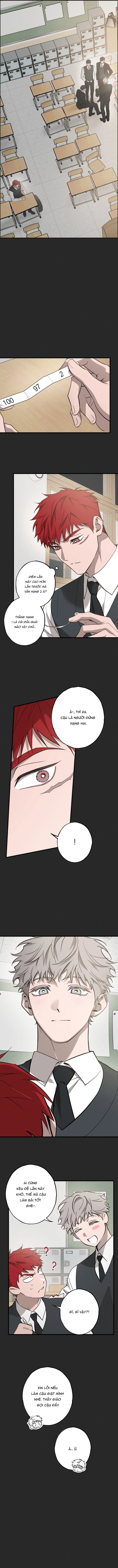 Đừng Ném Đá Dò Đường Chapter 2 - Next Chapter 3