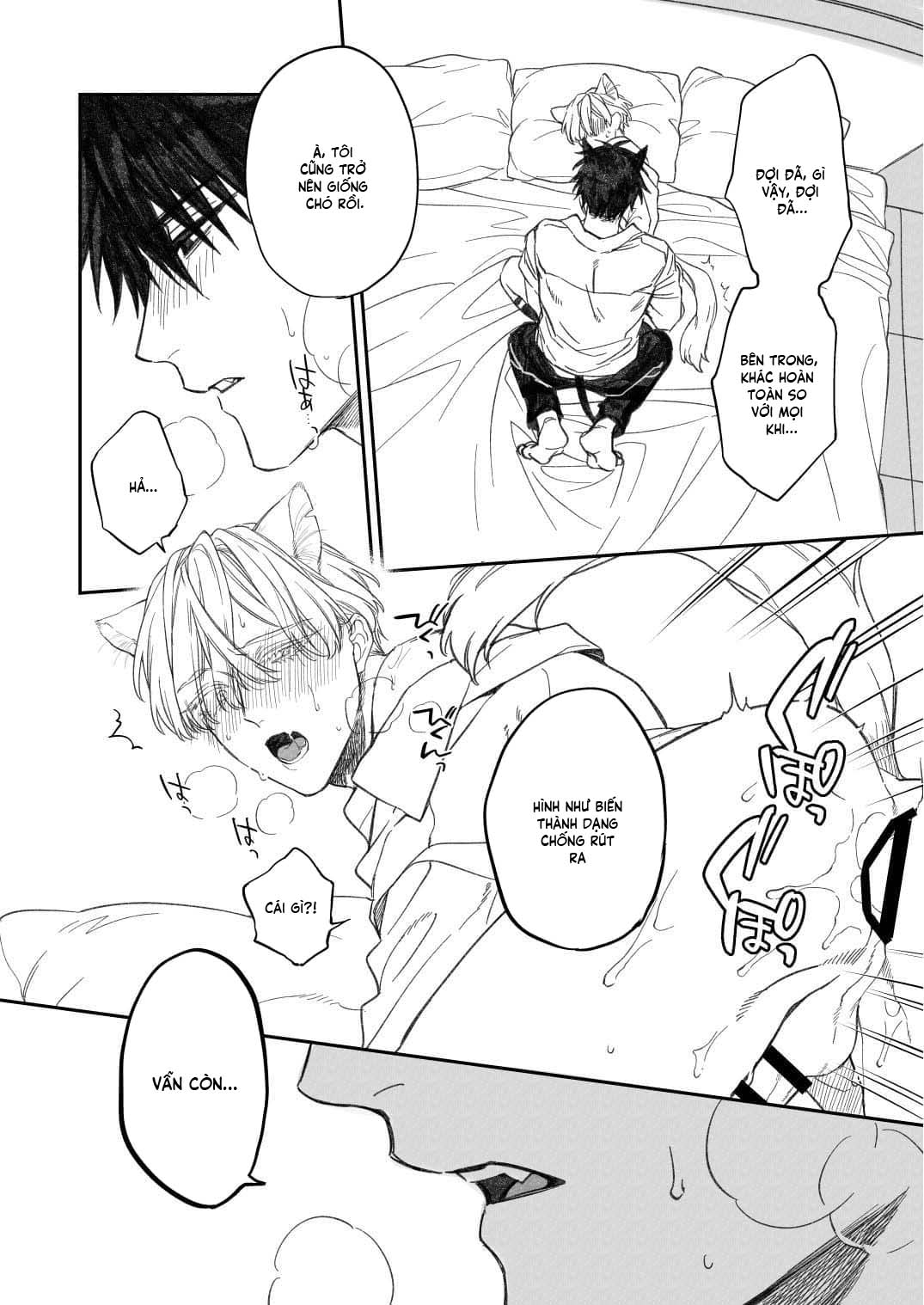 Dục vọng dắt lối xuống địa ngục Chapter 3 - Next 