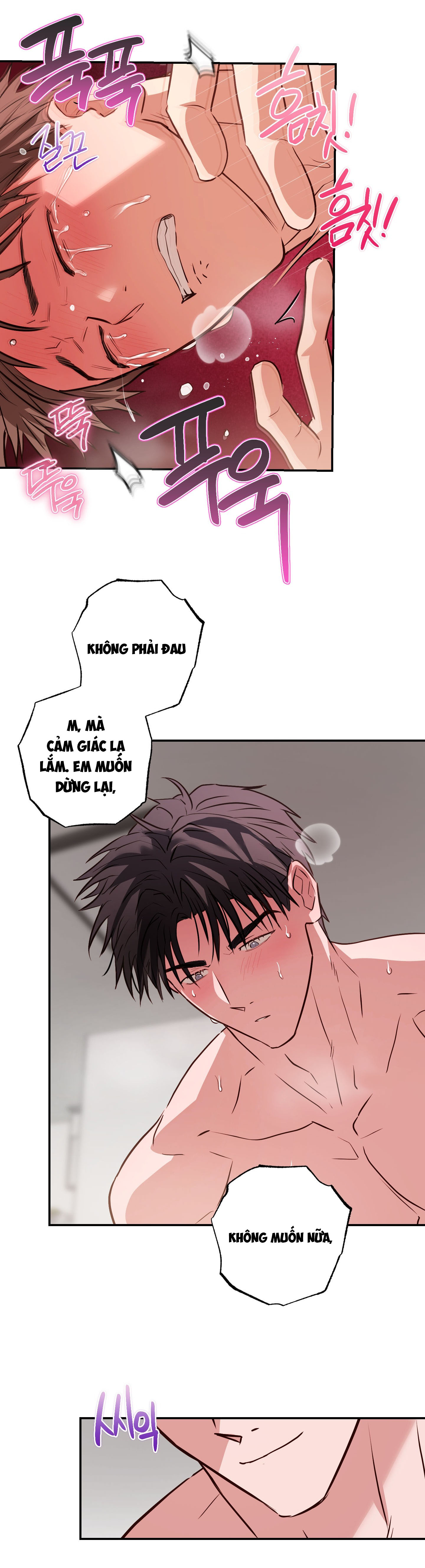 Xâm Phạm Chapter 4 - Next Chapter 5