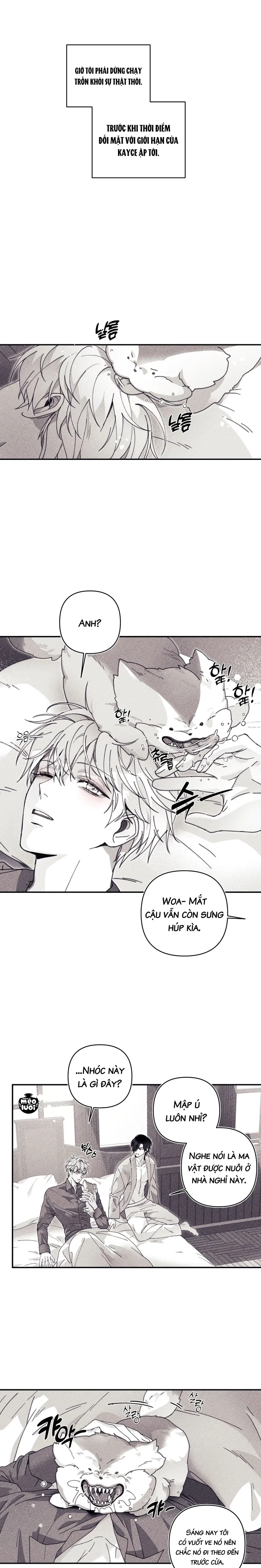 BÍ MẬT CỦA KAYCE Chapter 13 - Trang 2