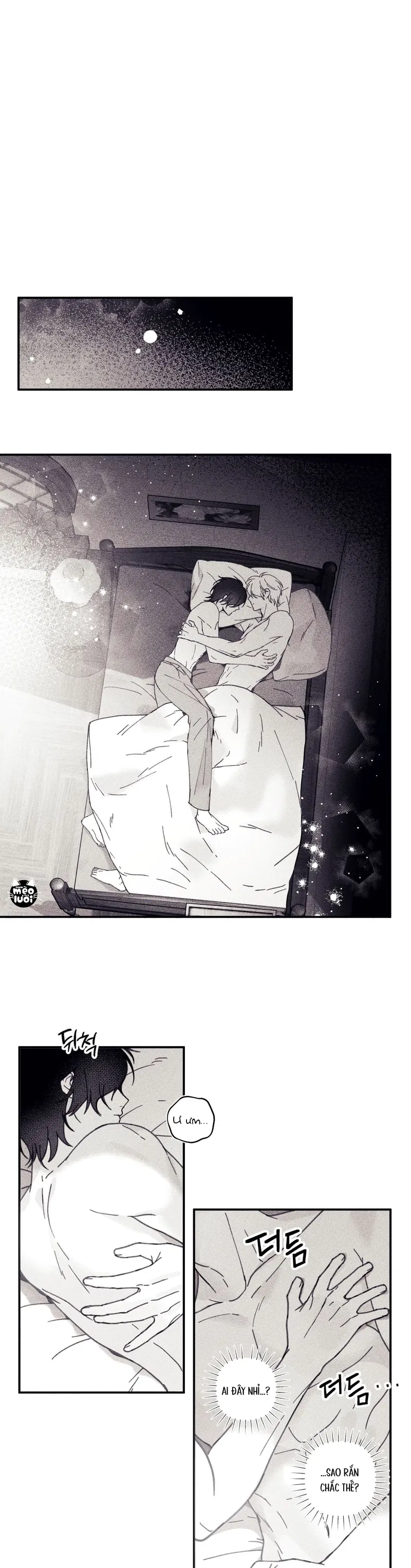 BÍ MẬT CỦA KAYCE Chapter 2: Mỹ nhân lộ diện - Trang 2