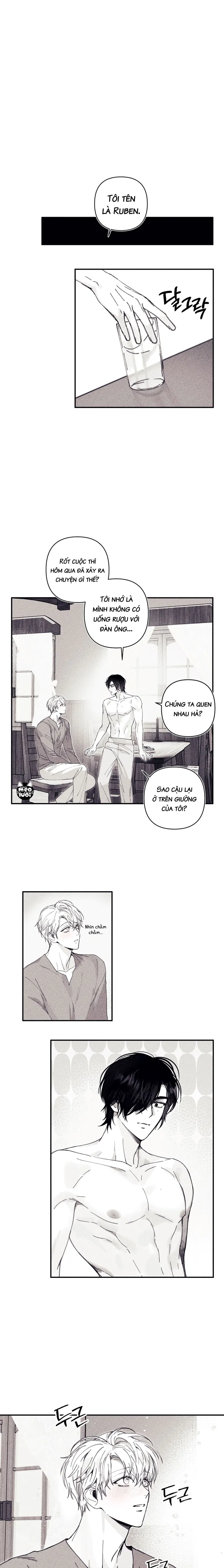 BÍ MẬT CỦA KAYCE Chapter 2: Mỹ nhân lộ diện - Trang 2