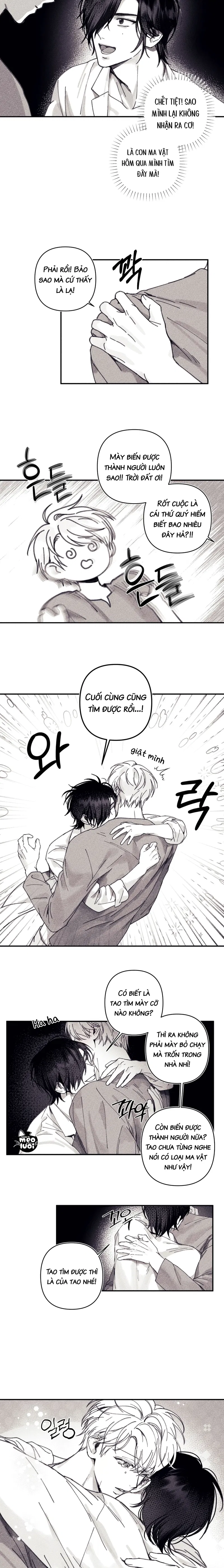 BÍ MẬT CỦA KAYCE Chapter 2: Mỹ nhân lộ diện - Trang 2