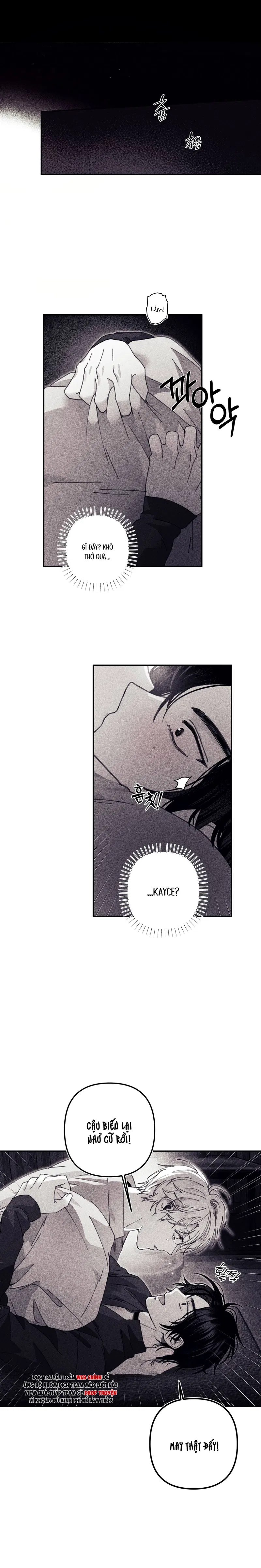 BÍ MẬT CỦA KAYCE Chapter 21: Soft - Next 