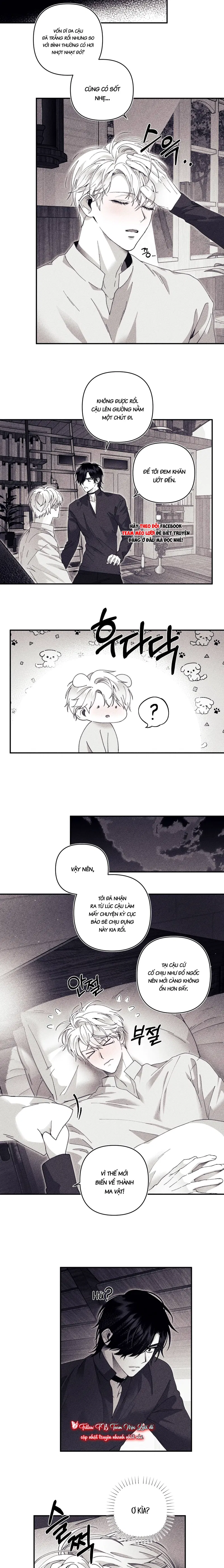 BÍ MẬT CỦA KAYCE Chapter 21: Soft - Next 