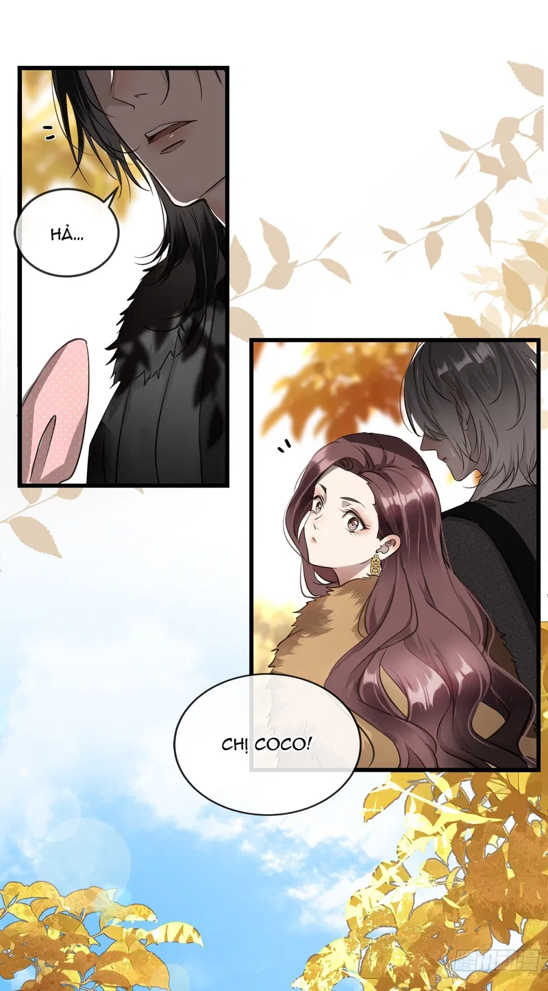 Tuyết Trong Nắng Hạ Chapter 4 - Trang 2