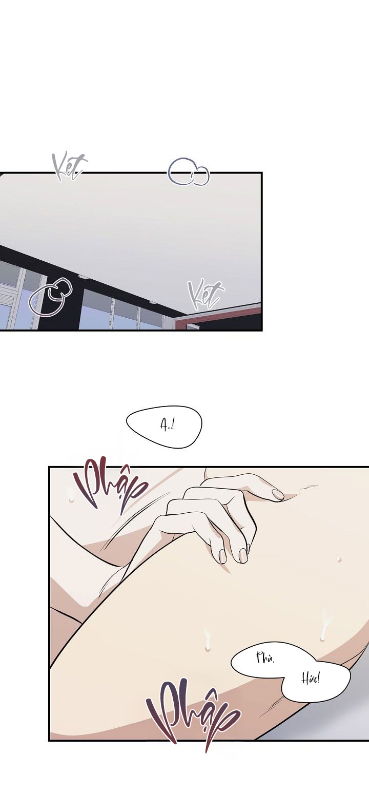Mối Quan Hệ Bị Nuốt Chửng Chapter 3 H ( END ) - Trang 2