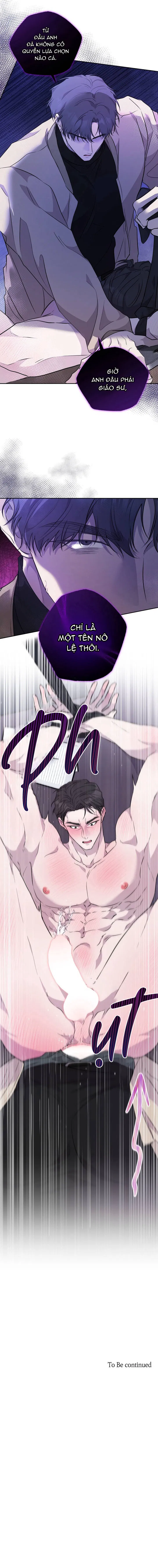 Luận Văn Của Giáo Sư Chapter 2 - Trang 2