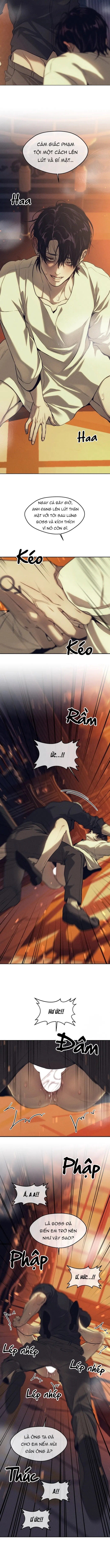Tham Ái Lạc Chapter 3 H++ - Trang 2