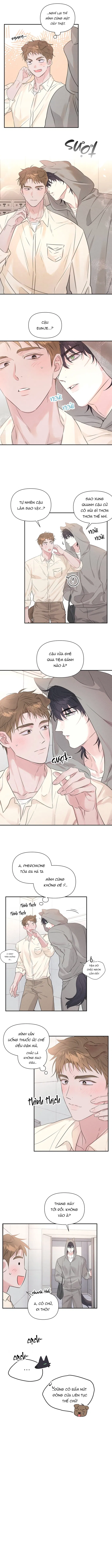 Cải Tà Quy Chính Chapter 2 - Trang 2