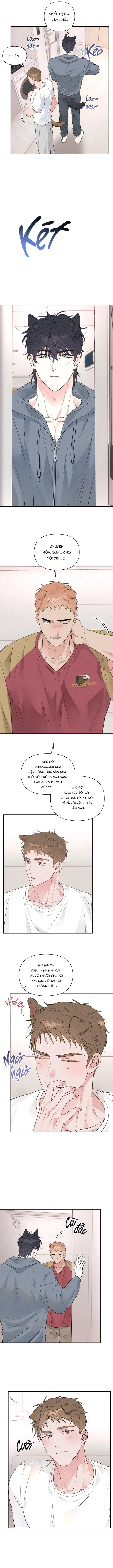 Cải Tà Quy Chính Chapter 5 H++ [END] - Next Chapter 6 H+ [Ngoại truyện]