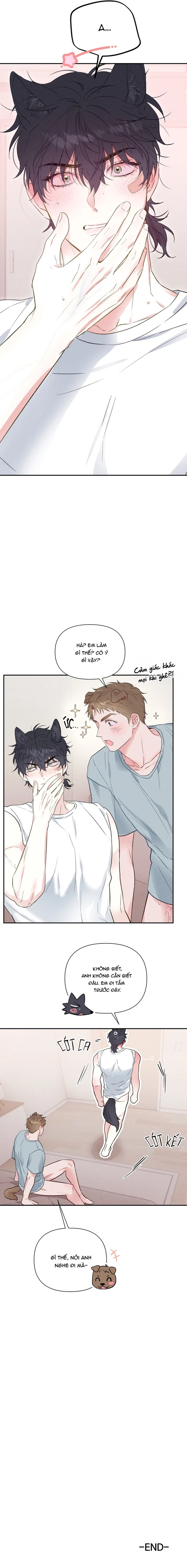 Cải Tà Quy Chính Chapter 6 H+ [Ngoại truyện] - Next 