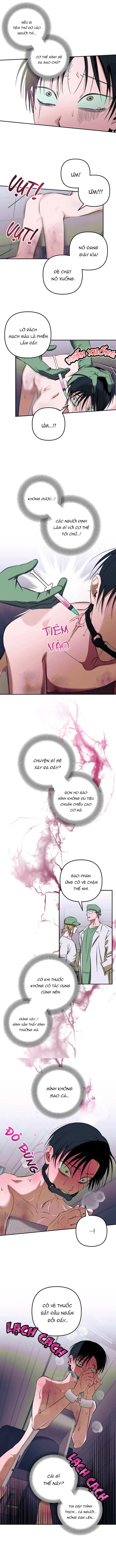 Khai Báo Gia Súc Người Chapter 2 H+ - Trang 2