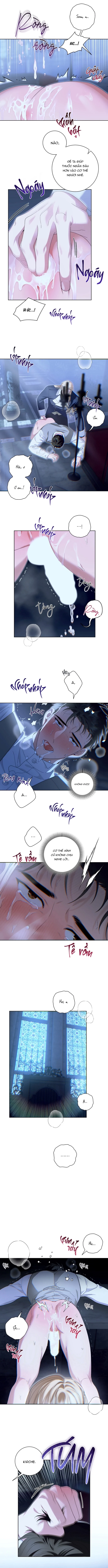 PATERA Chapter 3 H+ - Trang 2