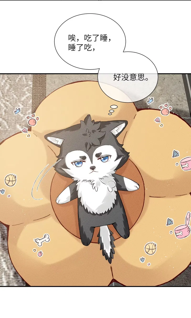 Nhận Kẻ Địch Làm Cha Chap 8 - Trang 3