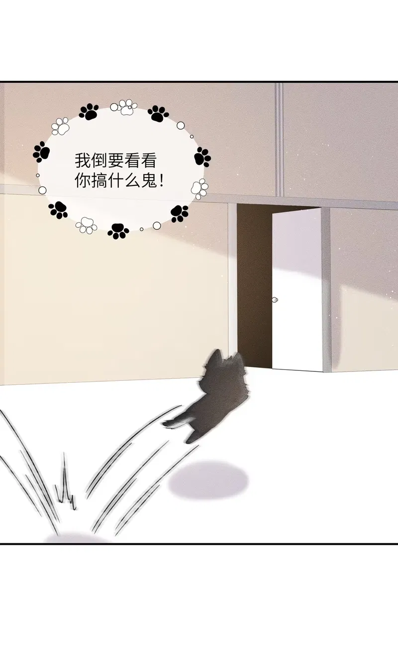Bị Chó Điên Phát Hiện Tôi Là Đồng Loại Chapter 10 - Trang 2