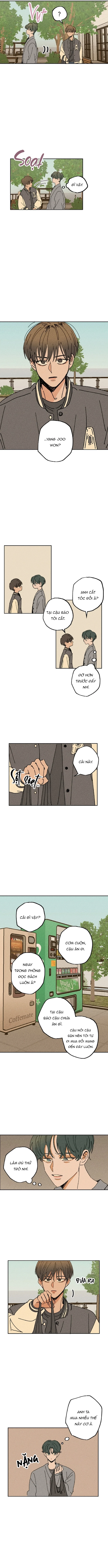 Tiền Bối Dễ Dãi Chapter 5 - Trang 2
