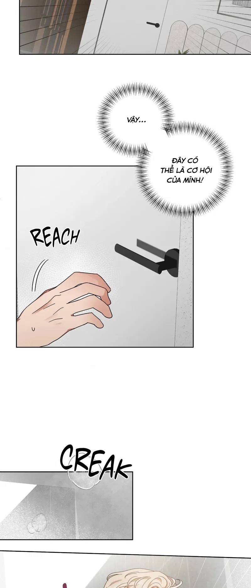 Dự Án Cải Tạo Giáo Sư Chapter 3 - H+ - Trang 2
