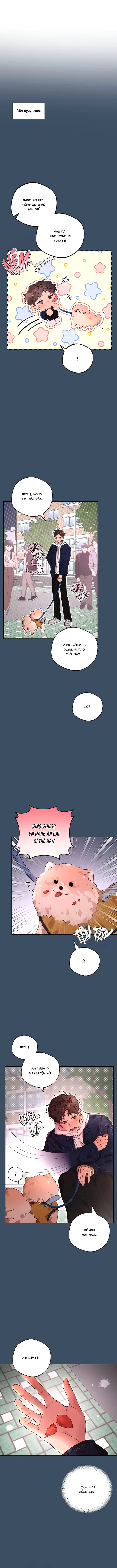Dưới Chân Đèn Không Sáng Chapter 5 - Trang 2