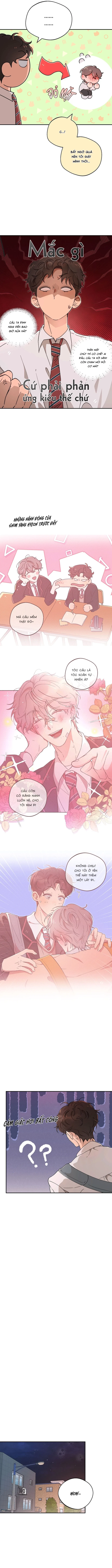 Dưới Chân Đèn Không Sáng Chapter 8 [End] - Trang 2