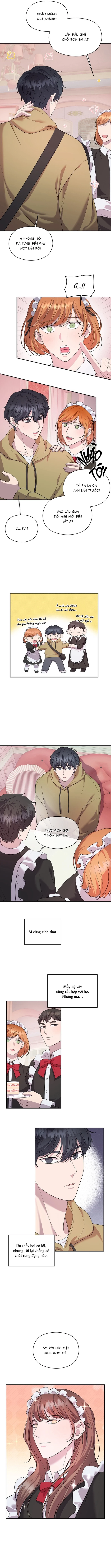 Đã Giả Gái Thì Đâu Phải Chỉ Làm Maid Chapter 5 - Trang 2