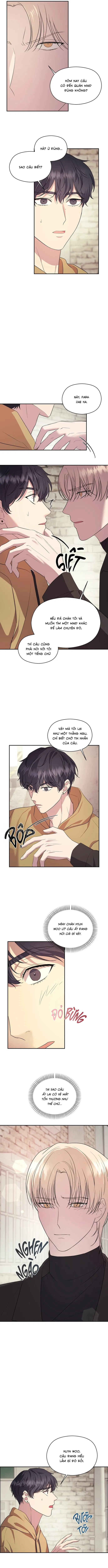 Đã Giả Gái Thì Đâu Phải Chỉ Làm Maid Chapter 5 - Trang 2