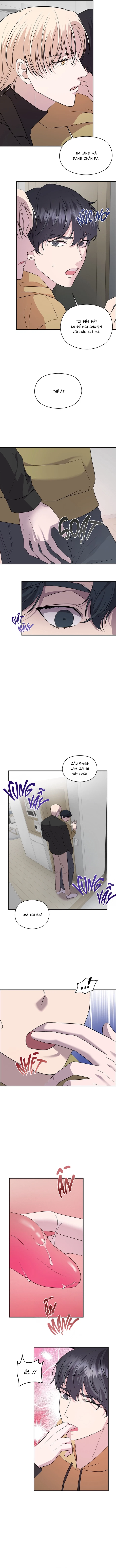 Đã Giả Gái Thì Đâu Phải Chỉ Làm Maid Chapter 5 - Trang 2