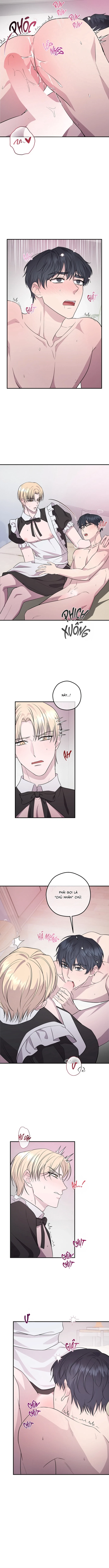 Đã Giả Gái Thì Đâu Phải Chỉ Làm Maid Chapter 7 H+ [END] - Trang 2