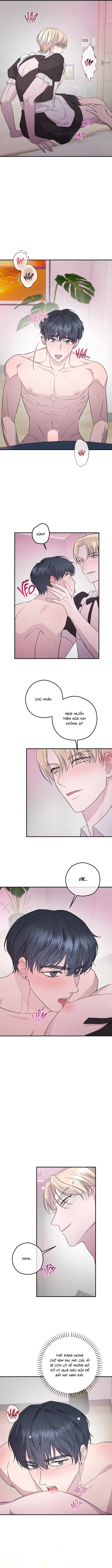 Đã Giả Gái Thì Đâu Phải Chỉ Làm Maid Chapter 7 H+ [END] - Trang 2