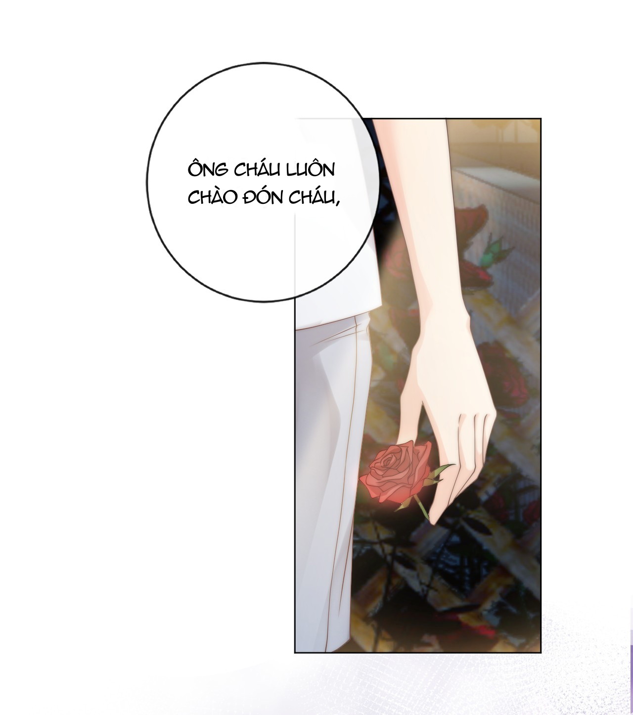 Đảo Thanh Mai Chapter 3 - Next Chapter 4