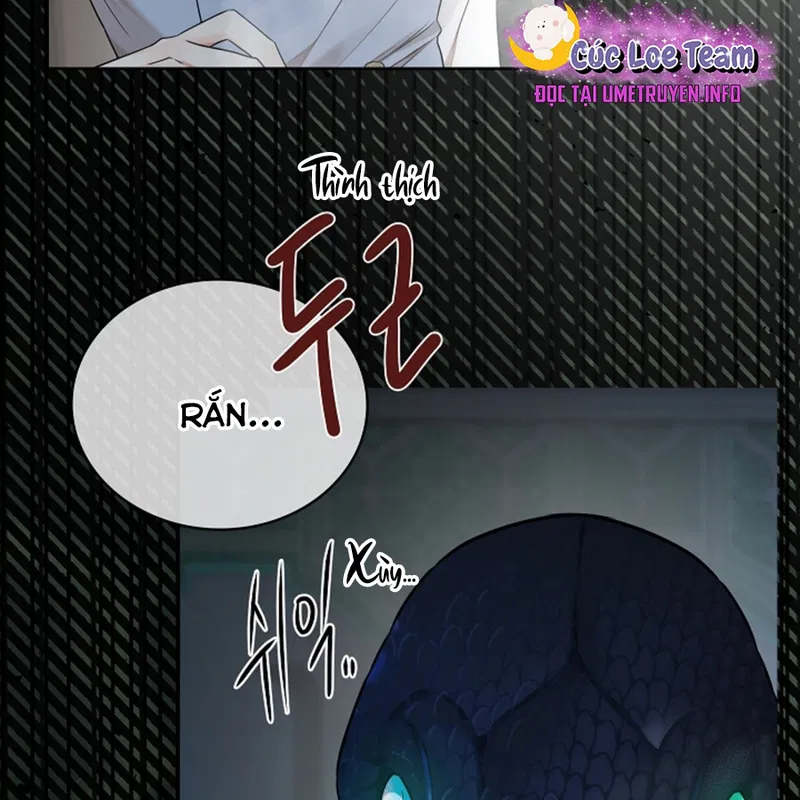 HANG RẮN Chapter 12 - H - Next Chapter 13 - H+