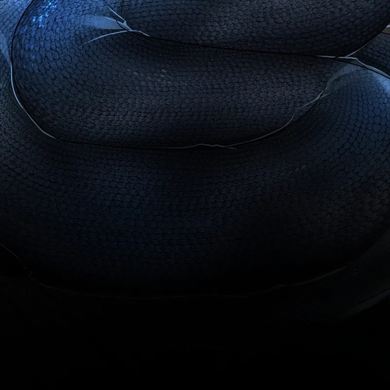 HANG RẮN Chapter 12 - H - Next Chapter 13 - H+