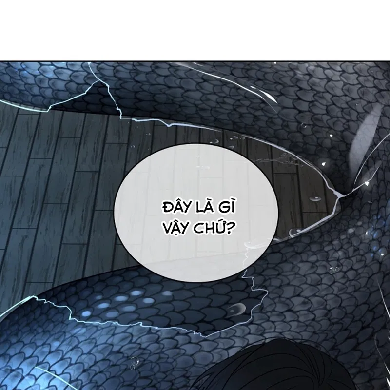 HANG RẮN Chapter 12 - H - Next Chapter 13 - H+