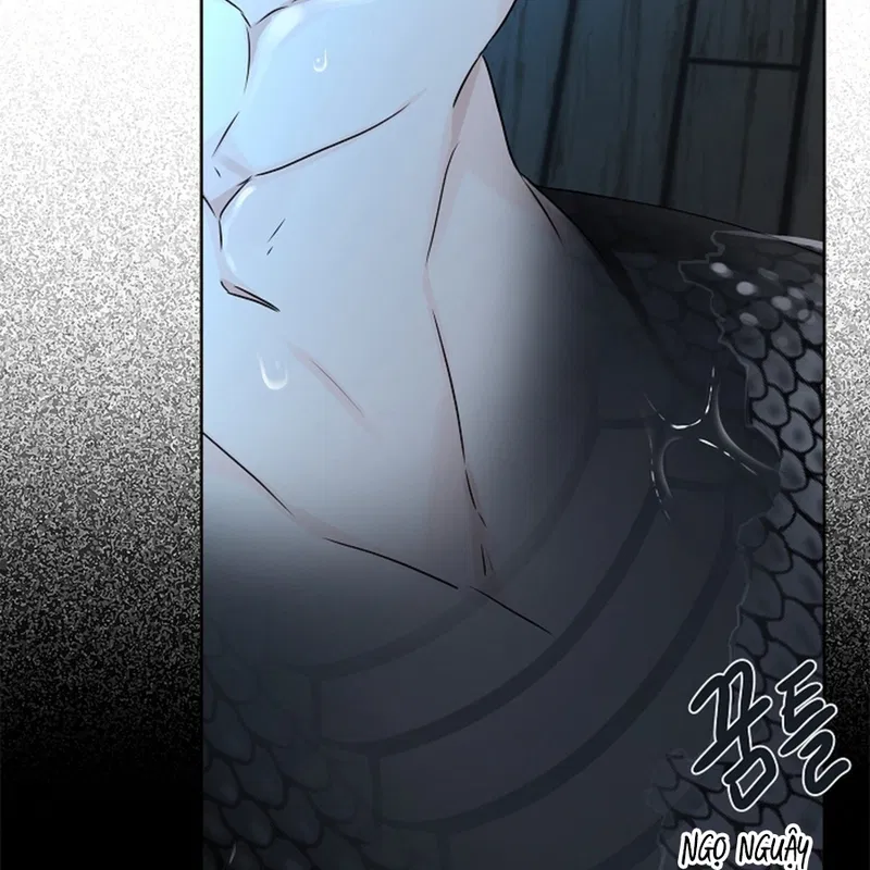 HANG RẮN Chapter 12 - H - Next Chapter 13 - H+