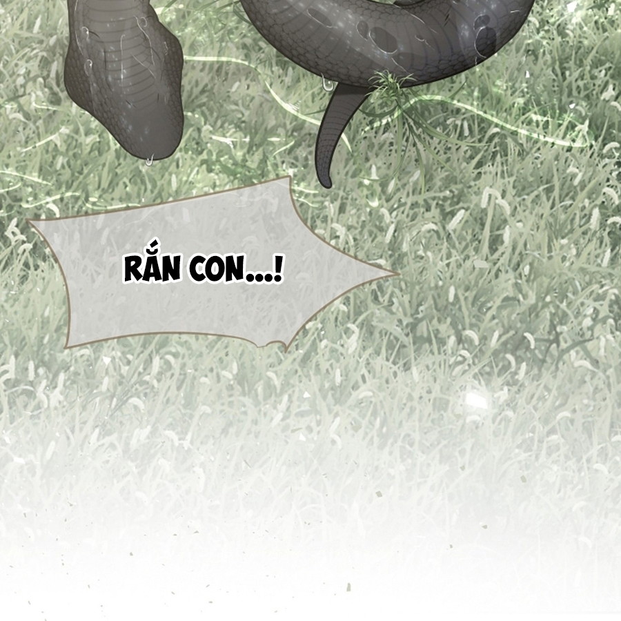 HANG RẮN Chapter 12 - H - Next Chapter 13 - H+