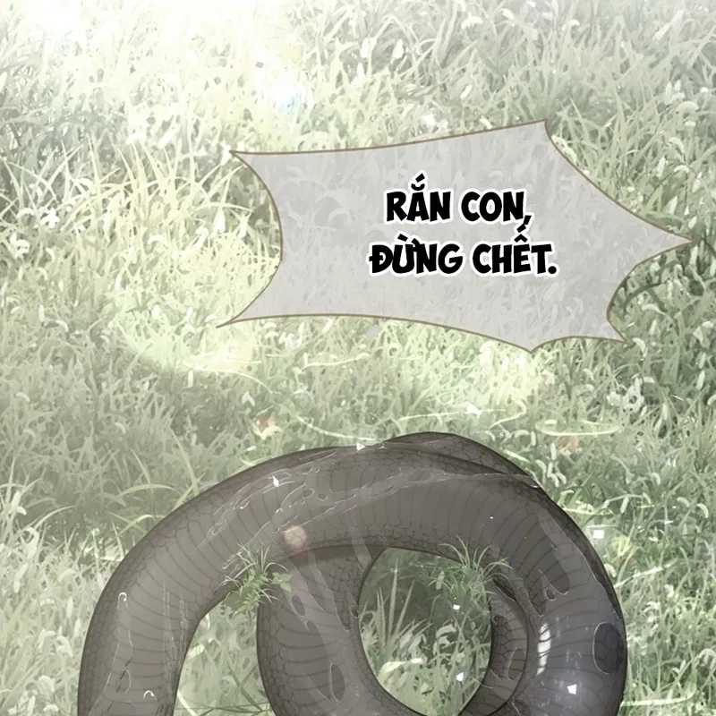 HANG RẮN Chapter 12 - H - Next Chapter 13 - H+