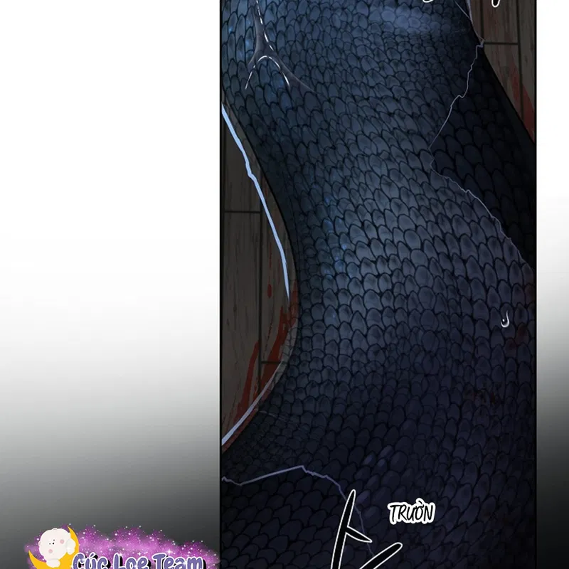 HANG RẮN Chapter 12 - H - Next Chapter 13 - H+